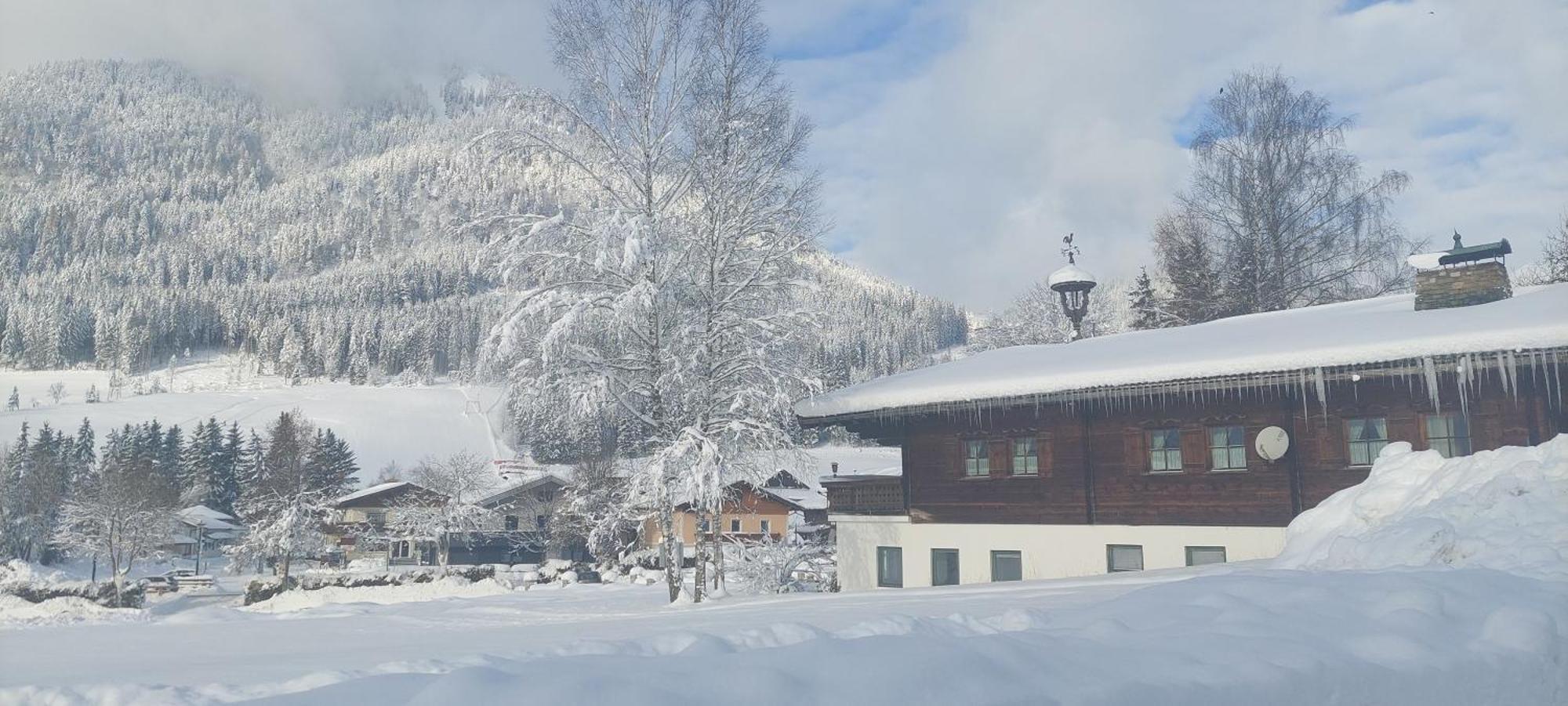 Appartements Haus Bergland Sankt Martin am Tennengebirge Ngoại thất bức ảnh