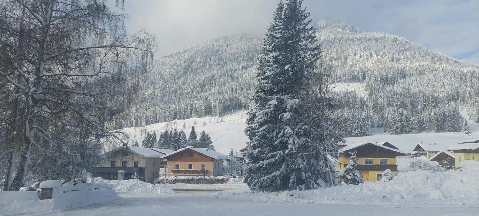 Appartements Haus Bergland Sankt Martin am Tennengebirge Ngoại thất bức ảnh